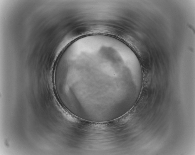 X0000098001086200803241336