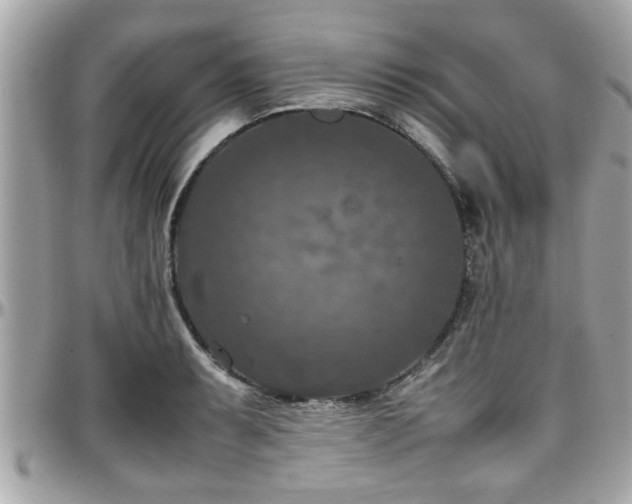 X0000098001087200803241336