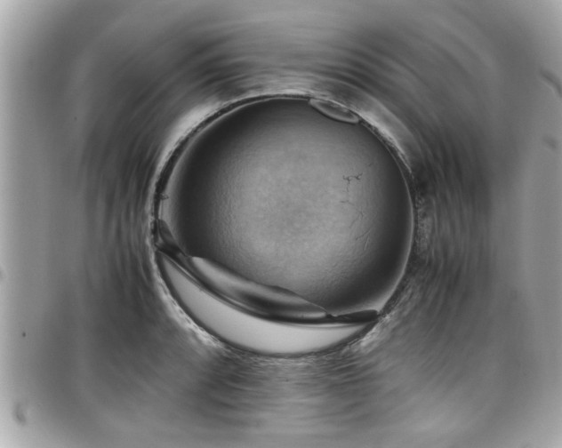X0000098001088200803241336