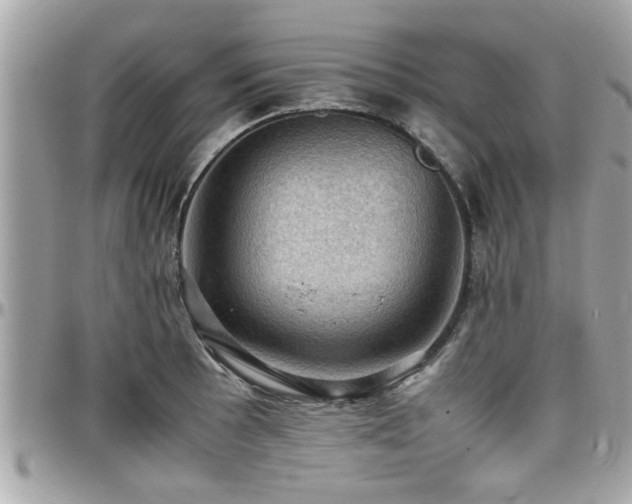 X0000098001089200803241336