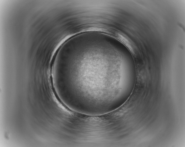 X0000098001092200803241336