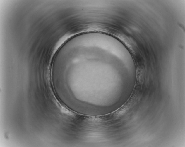 X0000098001094200803241336