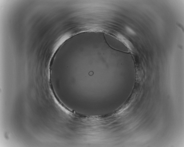 X0000098001095200803241336