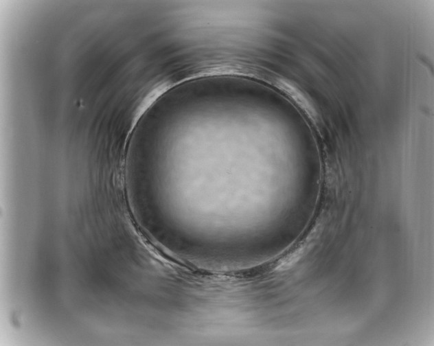 X0000098001097200803241336