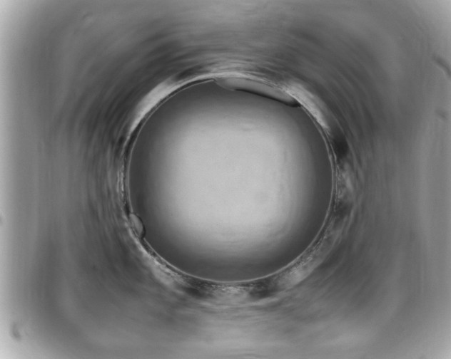 X0000098001101200803241336