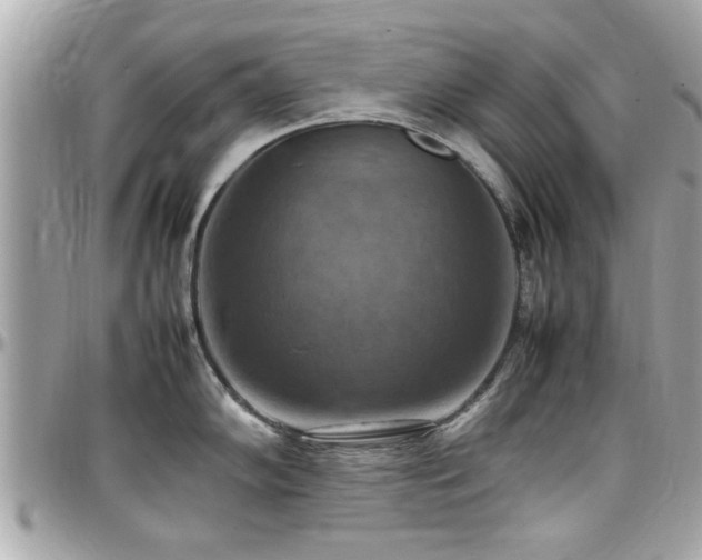 X0000098001102200803241336