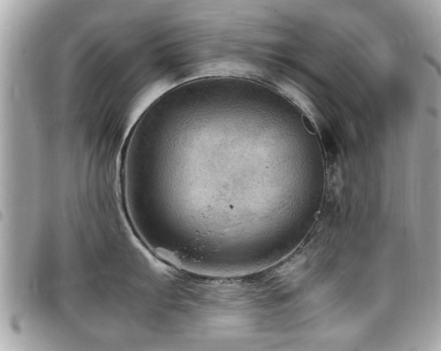 X0000098001103200803241336