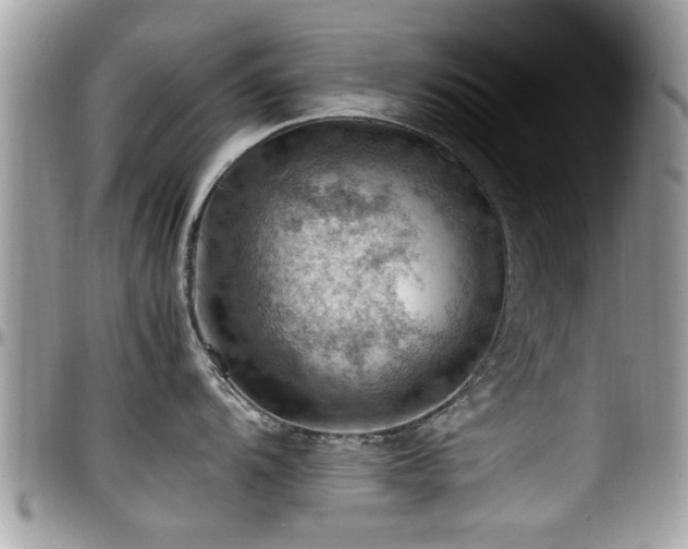 X0000098001104200803241336