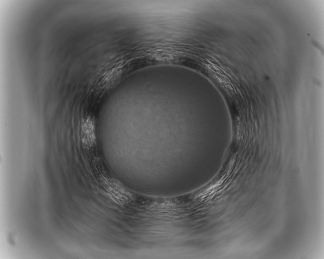 X0000098001106200803241335