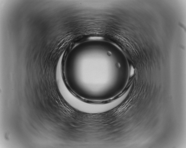 X0000098001107200803241335
