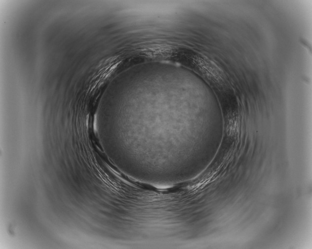 X0000098001108200803241335
