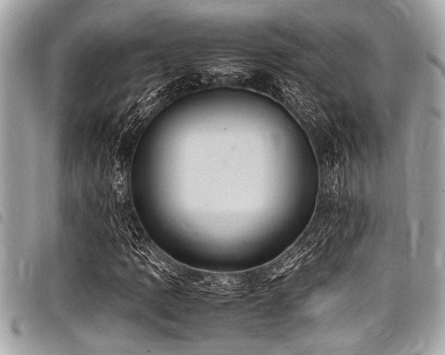 X0000098001109200803241335