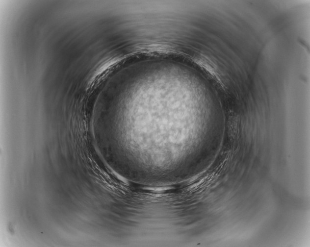 X0000098001112200803241335