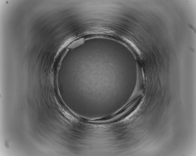 X0000098001114200803241335
