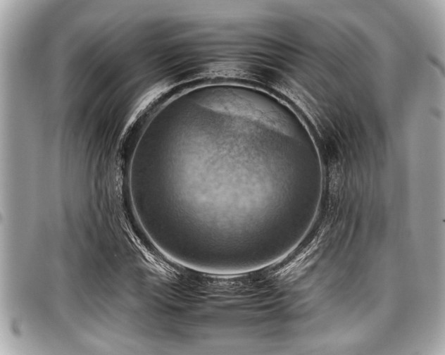 X0000098001115200803241335