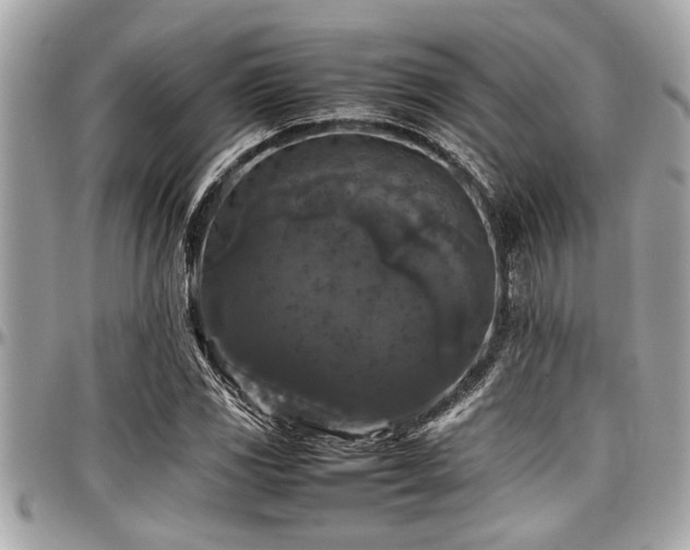 X0000098001117200803241335