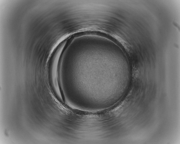 X0000098001118200803241336