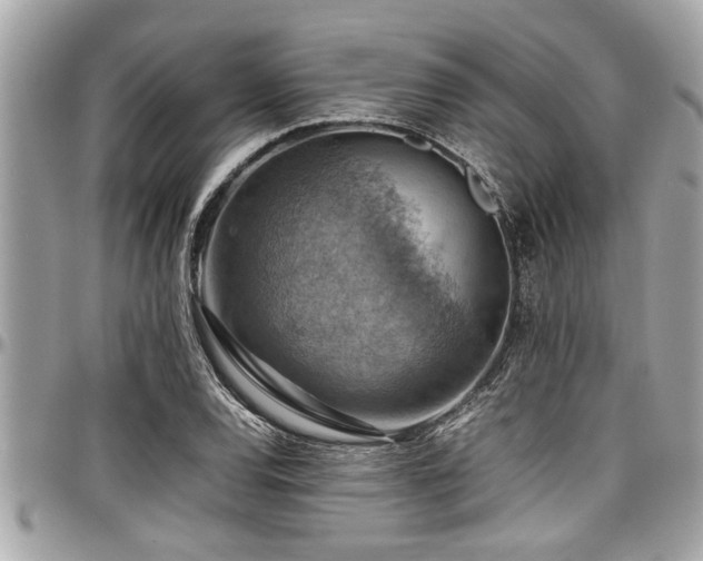 X0000098001120200803241336