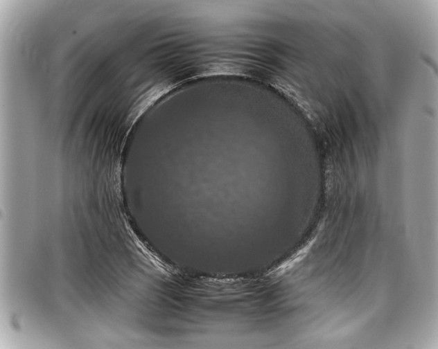X0000098001121200803241336