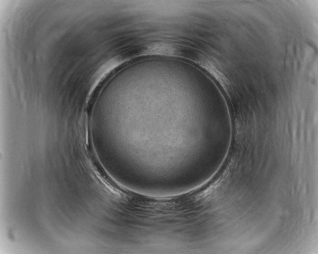 X0000098001123200803241336