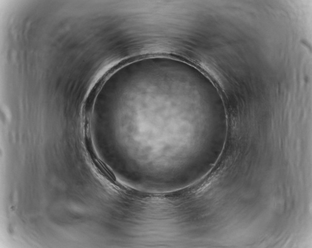 X0000098001124200803241336
