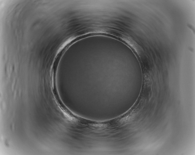 X0000098001127200803241336