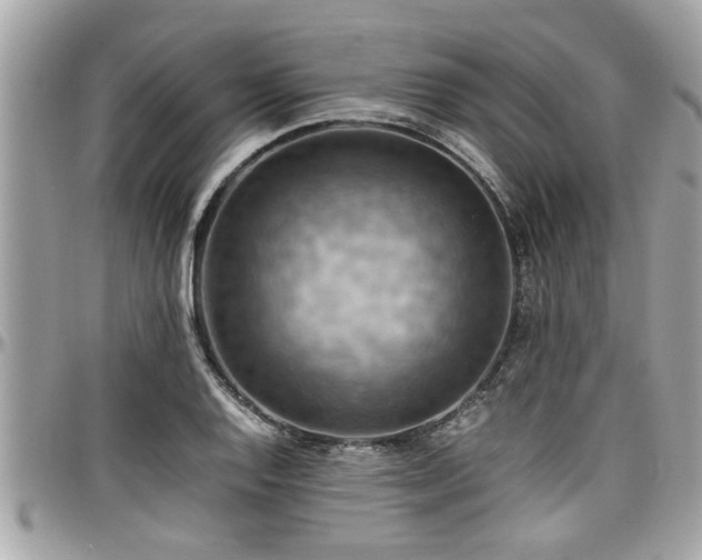 X0000098001128200803241336