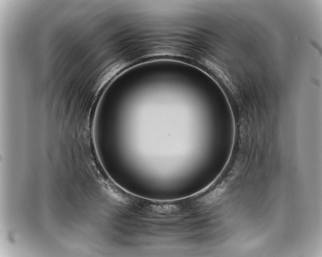 X0000098001129200803241336