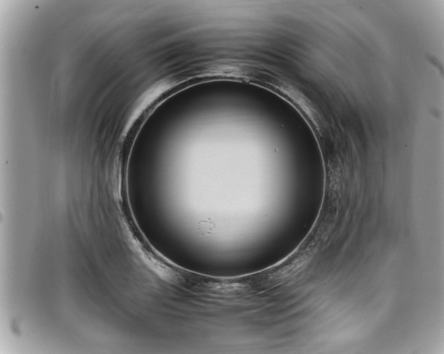 X0000098001131200803241336