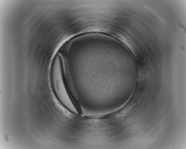 X0000098001132200803241336