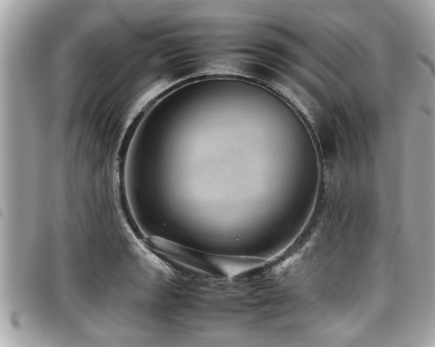 X0000098001133200803241336