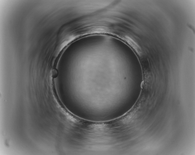 X0000098001134200803241336