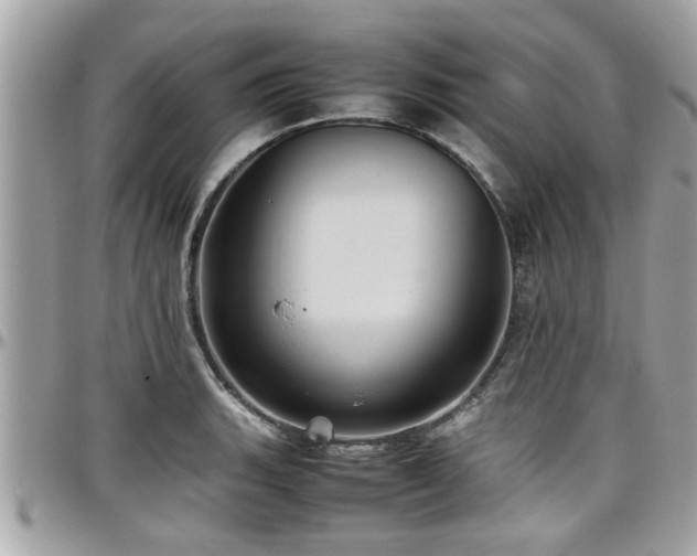 X0000098001135200803241336