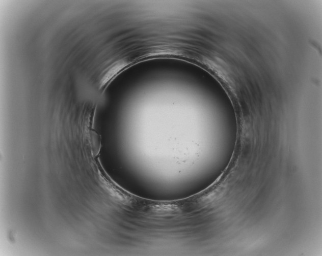 X0000098001137200803241336