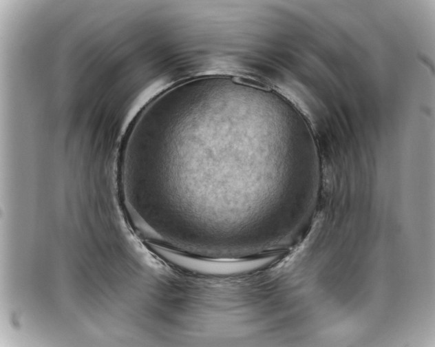 X0000098001138200803241336