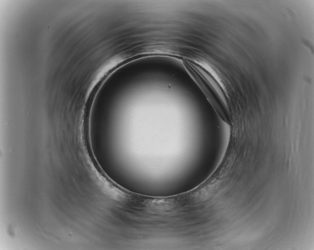 X0000098001139200803241336
