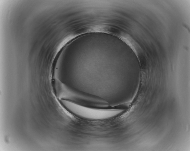 X0000098001141200803241336