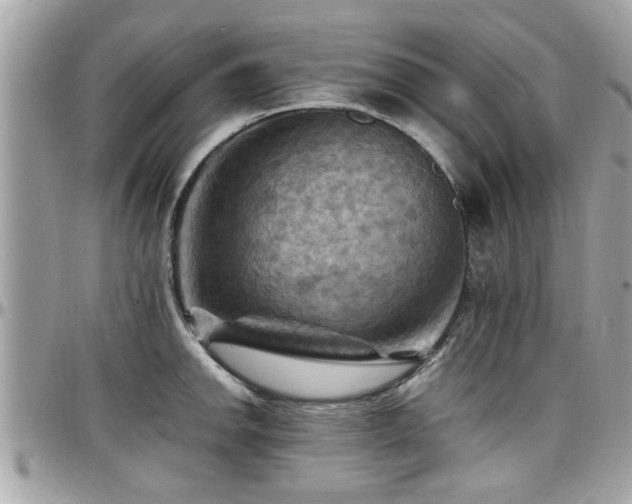 X0000098001142200803241336