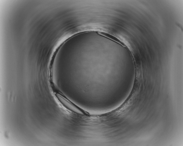 X0000098001144200803241336