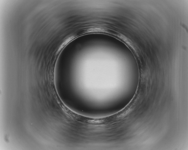 X0000098001145200803241336