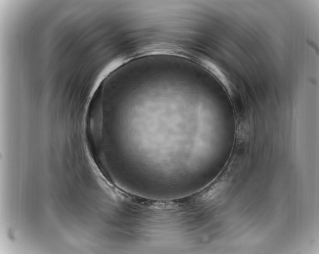 X0000098001146200803241336