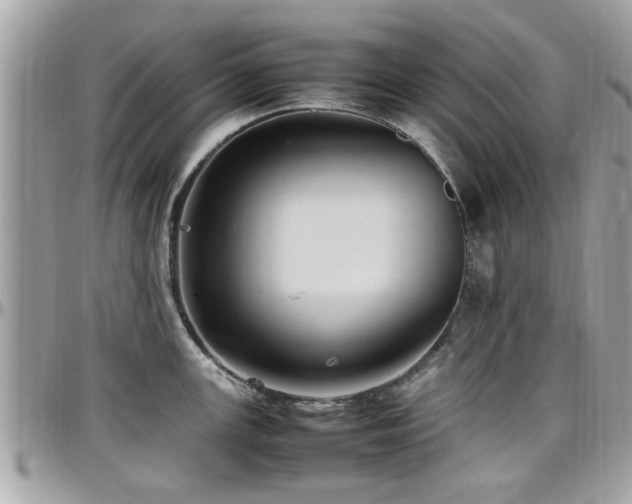 X0000098001147200803241336