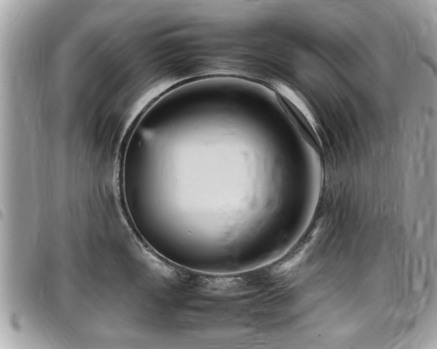 X0000098001149200803241336
