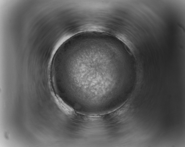 X0000098001152200803241336