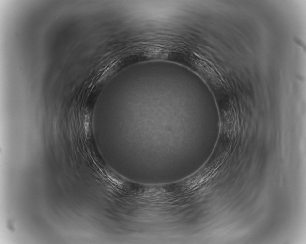 X0000098001154200803241335