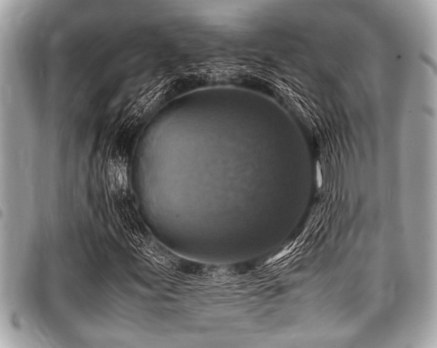 X0000098001155200803241335