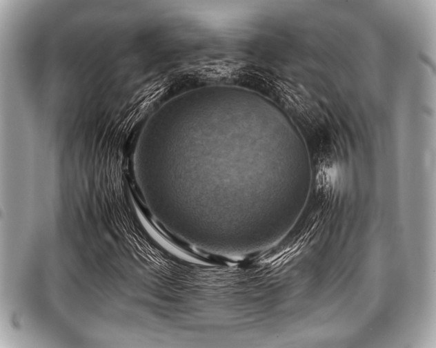 X0000098001156200803241335