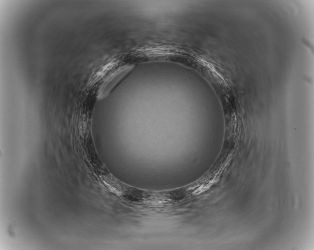 X0000098001157200803241335