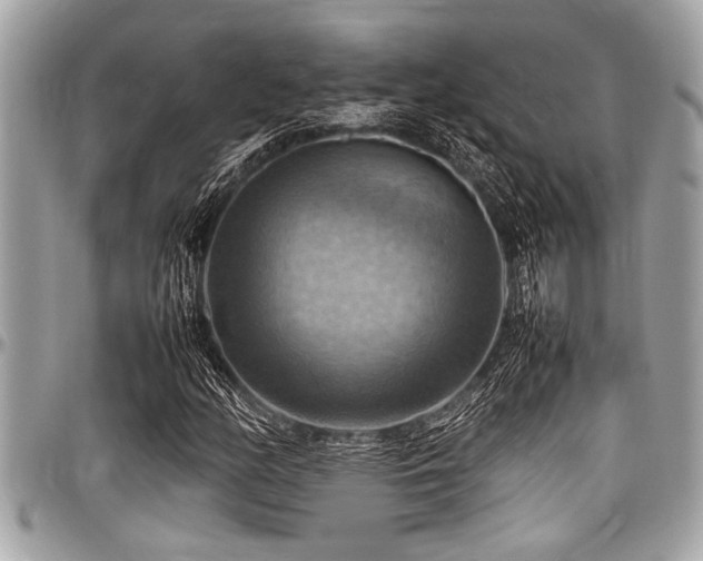 X0000098001158200803241335