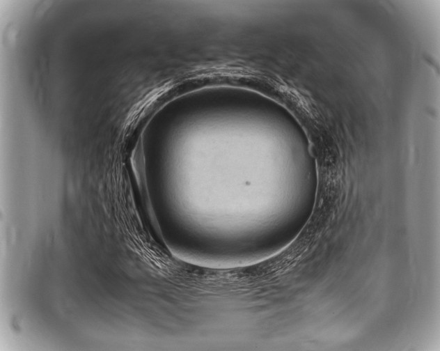 X0000098001159200803241335